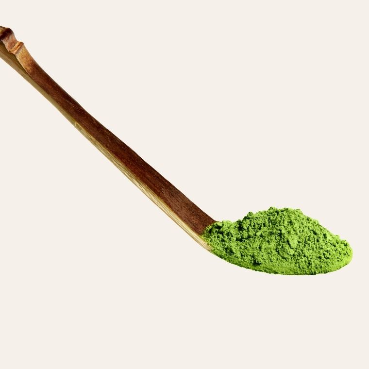 Bamboo Matcha Scoop with Matcha Powder